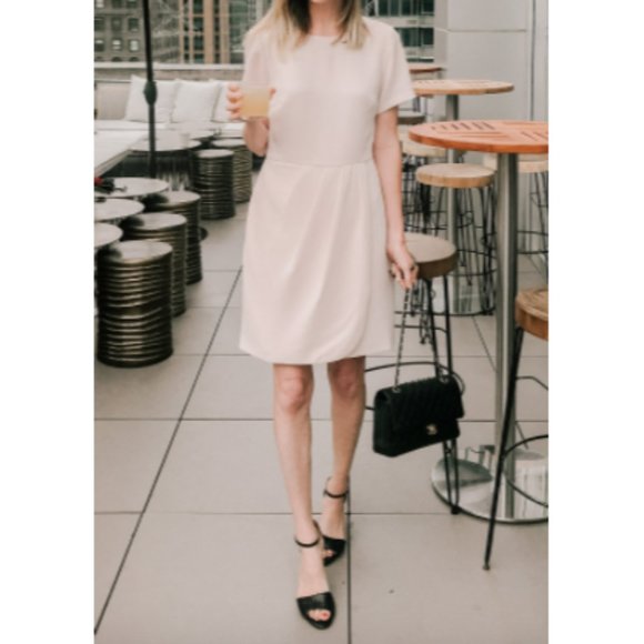 Club Monaco Dresses & Skirts - Club Monaco Light Pink Lynndalyn Straight Dress 10